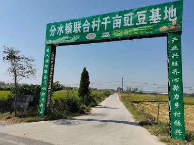 【分水】铿锵玫瑰竞绽放