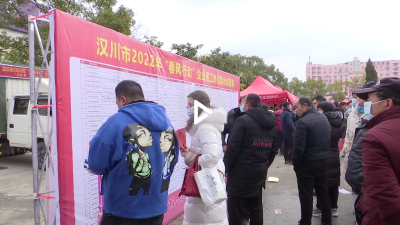 市人社局设置专区为求职者答疑解惑