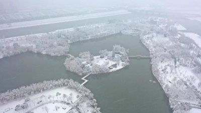 上班第一天  最积极的是“雪姐姐”