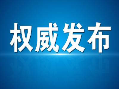 武汉市新增4例新冠病毒核酸检测阳性病例