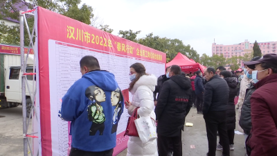 【就业和人才中心】设置专区为求职者答疑解惑