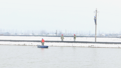 【供电公司】高压线断落 电力员工踏雪抢修