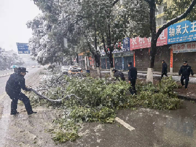 【城管执法局】感谢有你们，行走在街头风雪中的“除雪侠”