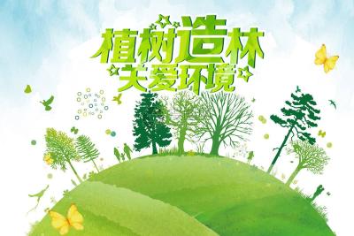 汉川：植树造林 你我同行