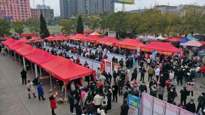 【就业和人才中心】“春风行动”启动   8000余个岗位“职”等你来