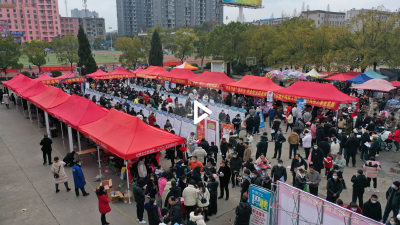“春风行动”启动   8000余个岗位“职”等你来