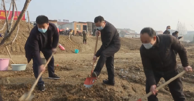 【综合】市领导参加义务植树活动