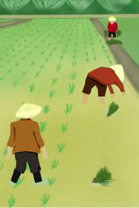 【气象局】天晴日暖春色浓，明后好雨促春耕！