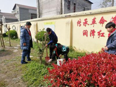 【马鞍】横堤小学栽下一棵花草  收获一片绿意