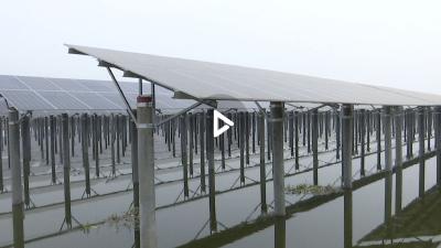 【视频】巴东县政协领导到我市参观考察光伏发电项目