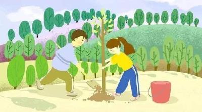 【综合】驻韩集乡工作队：我们一起为村里播种绿色