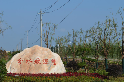 分水镇概况