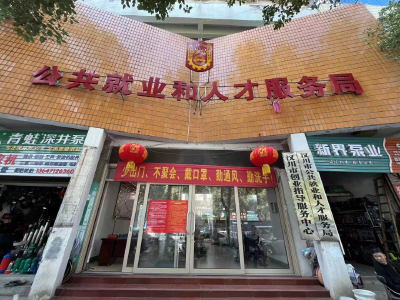 公共就业和人才服务中心概况