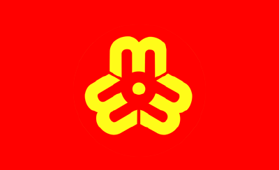 妇联概况