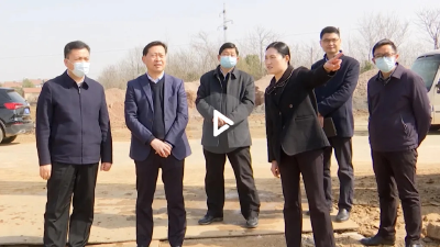 【视频】陈惠霞来我市调研疫情防控工作和黄龙湖片区项目建设情况