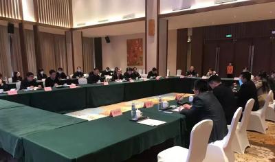 国开青旅集团等企业来汉川考察