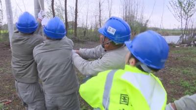 【供电公司】雷电击断高压线  电力工人4小时抢修送电