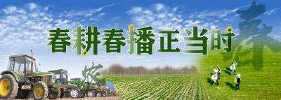 【西江】春耕正当时 种植玉米忙