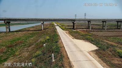 【水利局】三次捅鸟窝竟是因为……