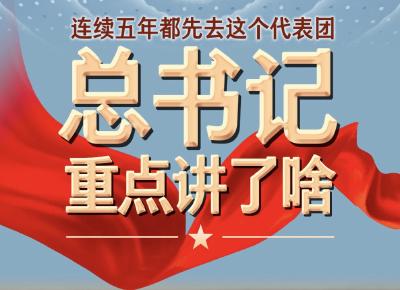 词云长卷丨连续五年都先去这个代表团，总书记重点讲了啥