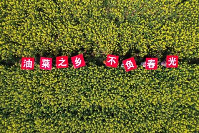 湾潭乡概况