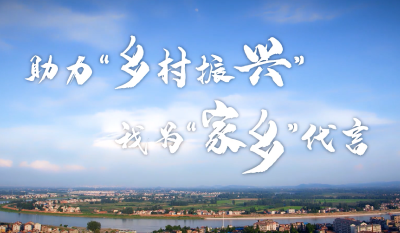 【综合】“她力量”助力乡村振兴 邀你来家乡做客