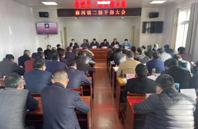 【麻河】“八项重点”助推经济社会高质量发展