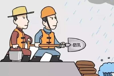 【刘家隔】16个村防守段面开展汛前检查