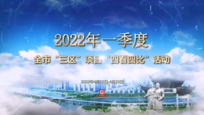 2022年第一季度孝感市“三区”项目“四看四比”活动