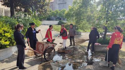 【南河】巾帼志愿者为该乡“梳妆” 干干净净迎五一
