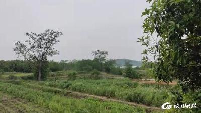 【综合】这里遍布10多处古遗址和古墓群