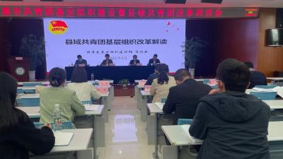 【视频】孝感市共青团基层组织建设暨县域共青团改革培训会在我市召开