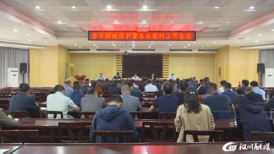 【视频】全市耕地保护暨农业农村工作会议召开