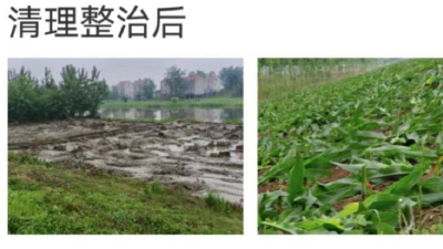 【综合】我市启动新一轮碧水保卫战专项整治行动