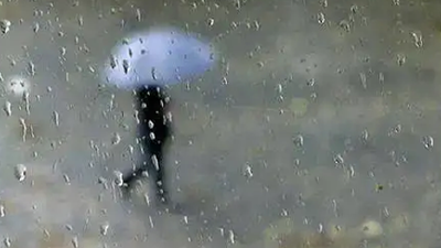 风雨袭扰，气温回落至舒适区间