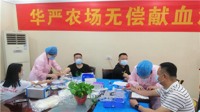 【华严】连续献血10余年是一种怎样的体验？