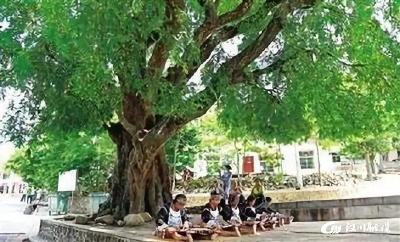 美文｜王家垸子