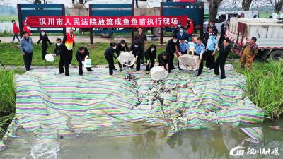 【法院】增殖放流，用法治守护一江碧水