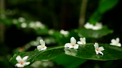 悦读 | 幸福是母爱
