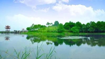 美文丨大平原的湖