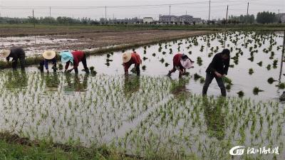 【垌塚】农事务工队走俏乡村