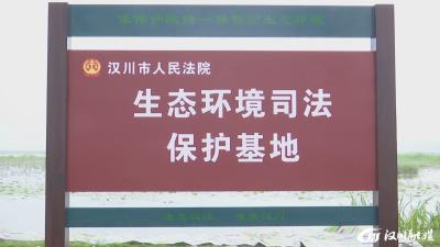 【视频】增殖放流 用法治守护一江碧水