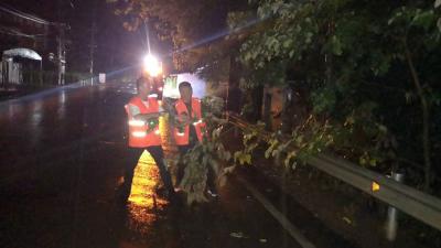 【交通运输局】强风暴雨突袭  公路人连夜强排保畅通