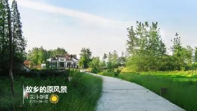 悦读｜新堰 我美丽的家乡