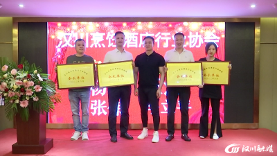 【视频】汉川新设行业协会消费维权“哨点”