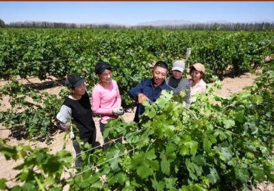 总书记和人民心贴心丨“总书记的真心关怀，暖到了人的心窝子里”