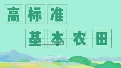  【西江】严格监督高标准农田建设