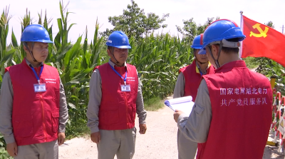 【视频】“电保姆”显身手 确保1600多亩农田灌溉