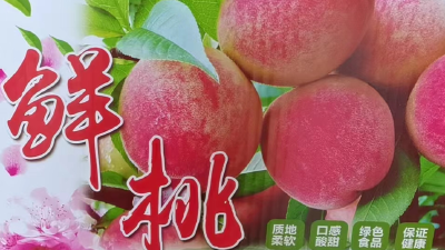 【麻河】这桃甜嫩多汁 今夏就爱这个味儿