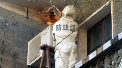 【综合】马蜂窝扰民？消防正面交“蜂”！